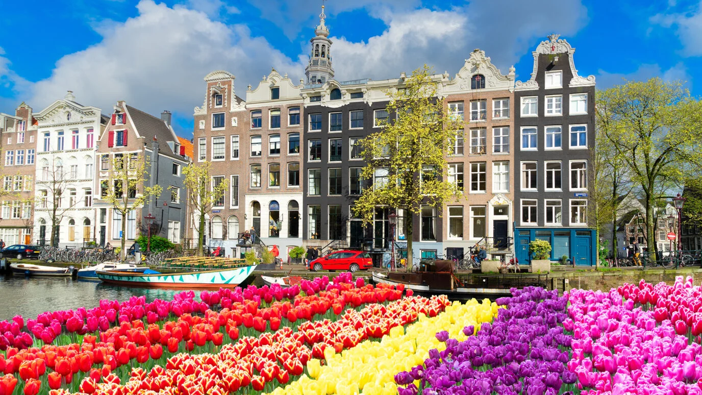 AMSTERDAM RÜYASI TURU