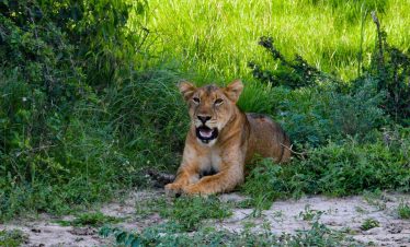 matthew-essman-F57Cw1eyVww-unsplash-1